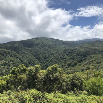HeleWai Eco Tours - Hiking Near Me - Lahaina, Hawaii