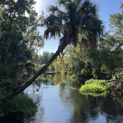 Morris Bridge Road Preserve - Water is high due to rain