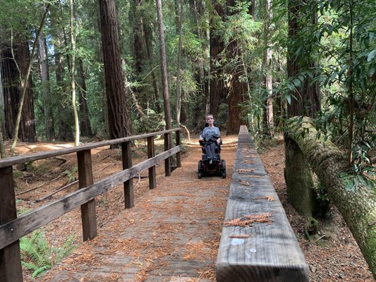 Hendy Woods State Park by null