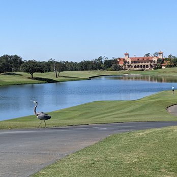 TPC Sawgrass - View of 18th hole from the cart path near 17. Check out that crane. - Golf Near Me - Ponte Vedra Beach, Florida