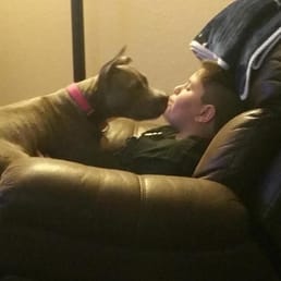 My vicious, unpredictable pit bull. :)
