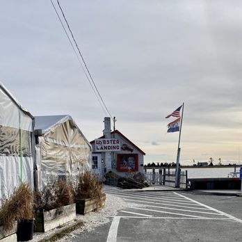 Lobster Landing - Seafood Markets Near Me - Clinton, Connecticut Lobster Landing - Seafood Markets Near Me - Clinton, Connecticut