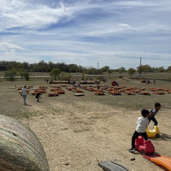 Cobbins Family Pumpkin Patch - Pumpkin patch - Pumpkin Patches Near Me - Sanger, Texas Cobbins Family Pumpkin Patch - Pumpkin patch - Pumpkin Patches Near Me - Sanger, Texas