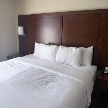 Comfort Suites - The bed. - Hotels Near Me - Dry Ridge, Kentucky Comfort Suites - The bed. - Hotels Near Me - Dry Ridge, Kentucky