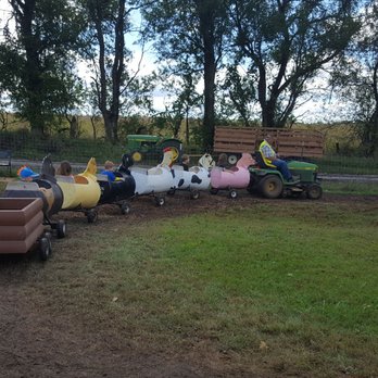 KC Pumpkin Patch - Can you get any more country than a ride on mower pulling animals made out of plastic drums? - Pumpkin Patches Near Me - Olathe, Kansas
