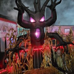 Wild Waves Theme and Water Park - A spooky tree ready to capture passers by.