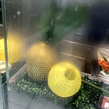 Dabao Singapore - POV- Pineapple Over View - Singaporean Near Me - San Francisco, California Dabao Singapore - POV- Pineapple Over View - Singaporean Near Me - San Francisco, California