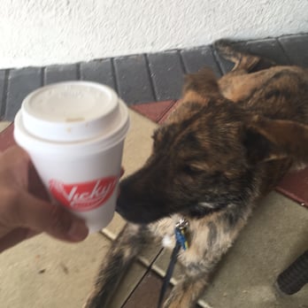 Vicky Bakery - Desserts Near Me - Miramar, Florida