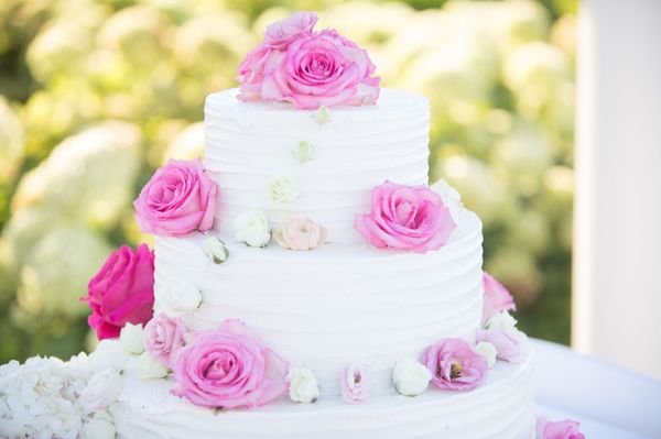 Floral & Fruit Paradise by null