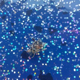 This little guy decided to come on in while the clear coat was curing; however, you can see how vibrant the flake looks!