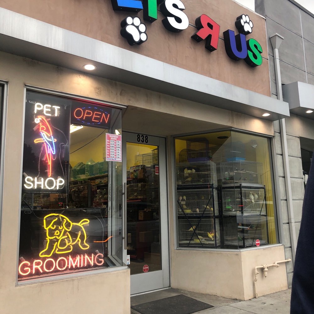 Pets R Us - Store Front - Pet Sitting Near Me - Glendale, California Pets R Us - Store Front - Pet Sitting Near Me - Glendale, California