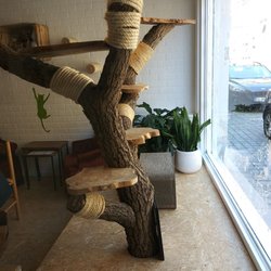 Kattencafe Puss and Books