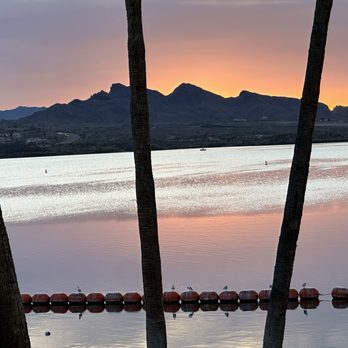 The Turtle Grille - American Near Me - Lake Havasu City, Arizona