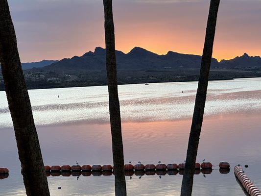 Turtle Grille by null