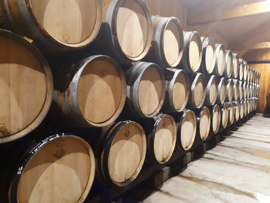 Domaine Jean-François Ganevat by null