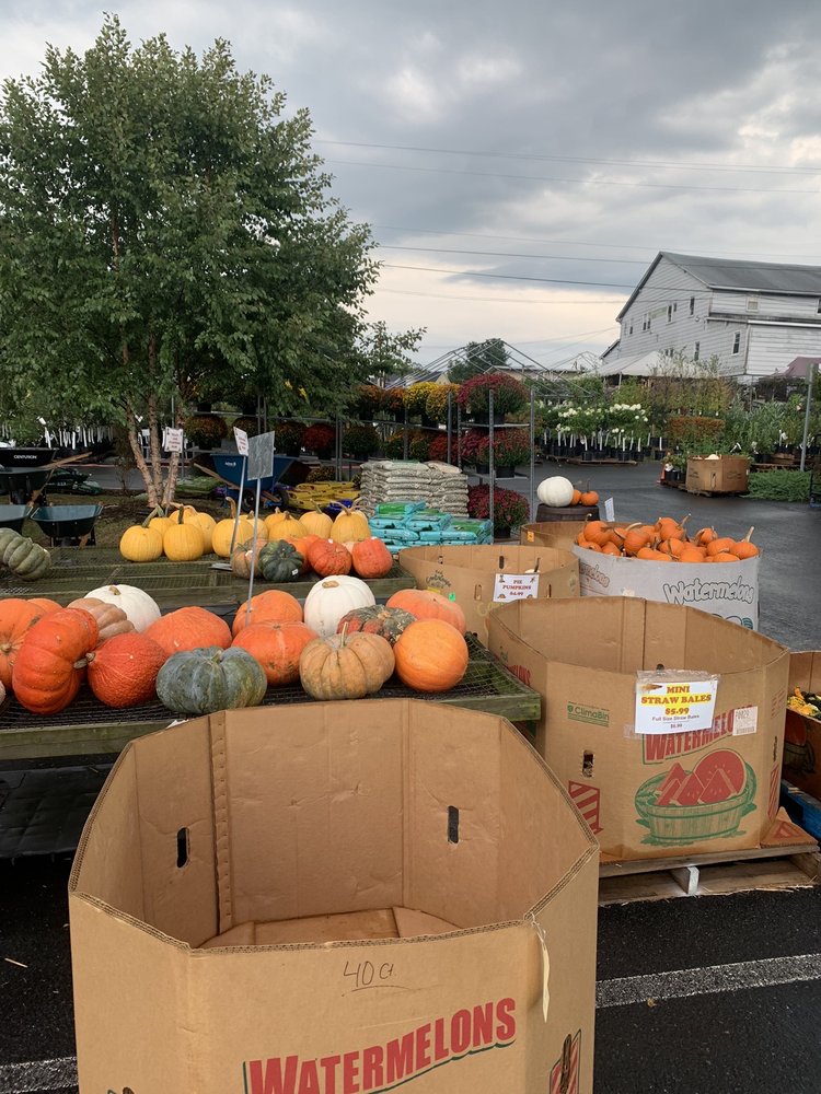 SOUTHERN STATES PURCELLVILLE Updated September 2024 13 Reviews