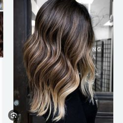 Alchemy Color Lab - Reference photo for balayage