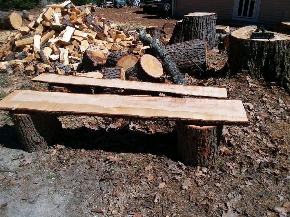 3 trees - tree service in Casco, ME