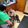 Coffee Memorial Animal Clinic