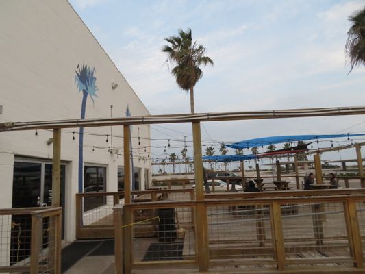 Nueces Brewing and BBQ by null