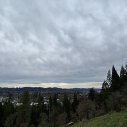 Skinner's Butte