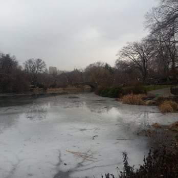 Central Park Conservancy - Morning jog - Parks Near Me - New York, New York Central Park Conservancy - Morning jog - Parks Near Me - New York, New York