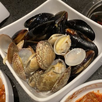 Chong Qing Hot Pot - Clams and Mussels - Hot Pot Near Me - Honolulu, Hawaii