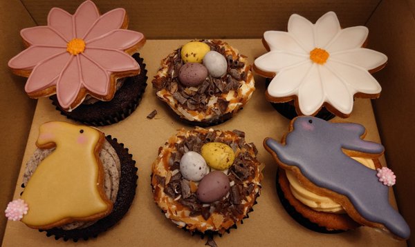 Plain Vanilla ION Orchard by null