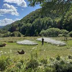 Celebration Rentals - Celebration chairs