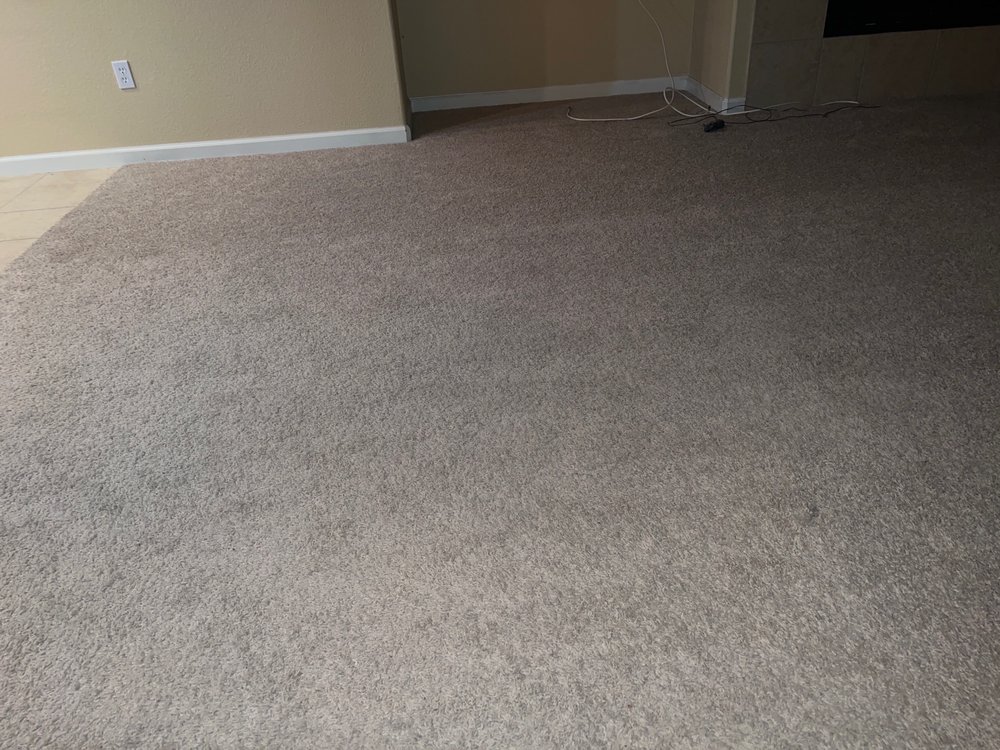 DELTA CARPET SERVICES Updated August 2024 1989 Purple Sage Way