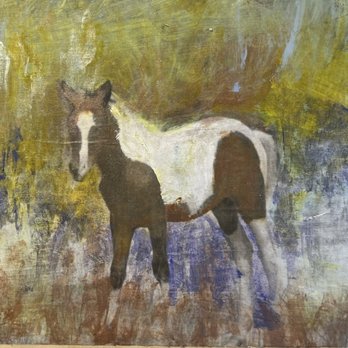 Nancy Rump Fine Art - Chincoteague wild pony - Commissioned Artists Near Me - Las Vegas, Nevada