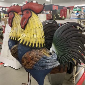 Tractor Supply - HOA won't let me put these in the front planter. - Department Stores Near Me - Denver, North Carolina Tractor Supply - HOA won't let me put these in the front planter. - Department Stores Near Me - Denver, North Carolina