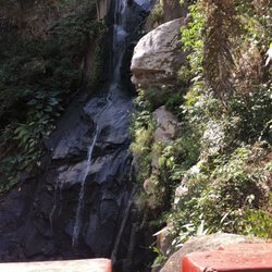 Cascada y Bosque - Waterfall
