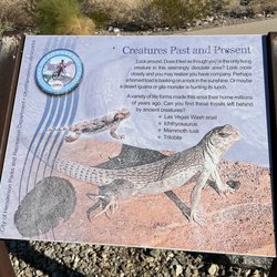 Info about ancient and current critters