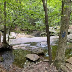 Double Rock Park