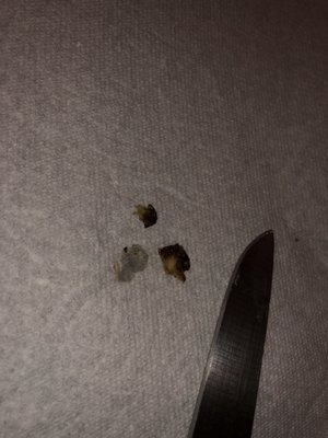 Taco Time NW by null