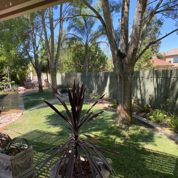 Travis Tree Service - You'd never know the trees were there against the fence... - Tree Services Near Me - Fresno, California Travis Tree Service - You'd never know the trees were there against the fence... - Tree Services Near Me - Fresno, California