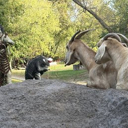 Petting zoo area with sculptures in the background