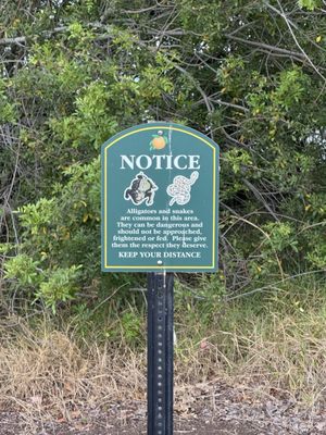 Dr. P. Phillips Community Park by null