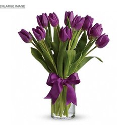 Dundee Nursery - what i ordered