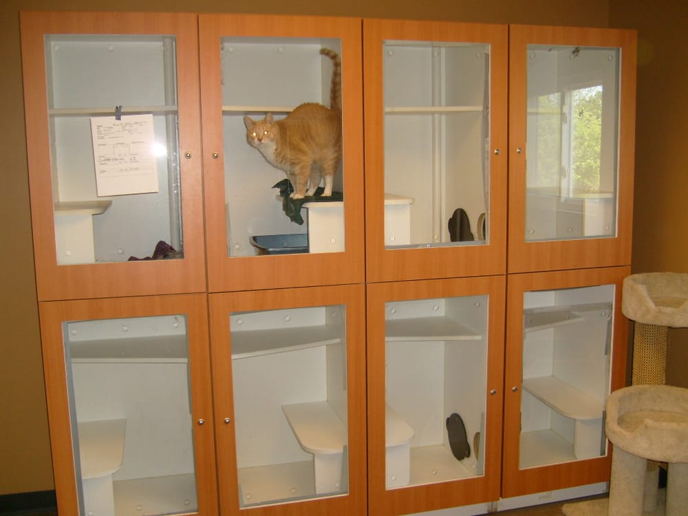 Pet Lodge - pet boarding facility in Latham, NY