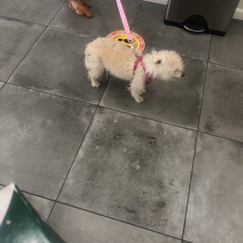 Van Nuys Veterinary Clinic - Veterinarians Near Me - Van Nuys, California