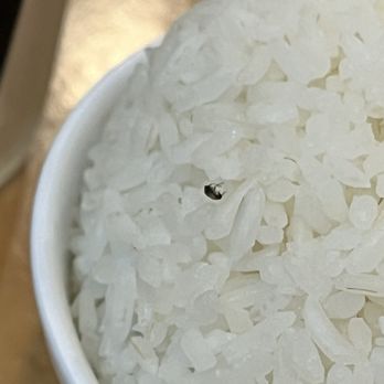 Chifa Du Kang - Steamed rice with a baby cockroach:( - Peruvian Near Me - Miramar, Florida Chifa Du Kang - Steamed rice with a baby cockroach:( - Peruvian Near Me - Miramar, Florida