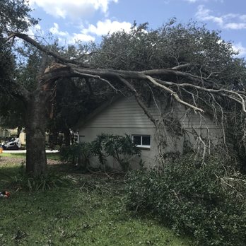 Protrim Tree Services - Tree Services Near Me - Lake Helen, Florida