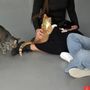 Hoffmeyer Animal Rescue