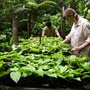 Méli Mundo : voyages pédagogiques et solidaires