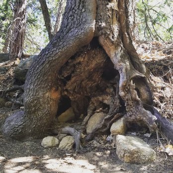 Ernie Maxwell Scenic Trail - Hiking Near Me