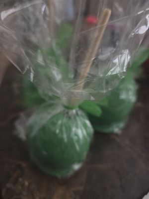 The Back Burner Restaurant by null