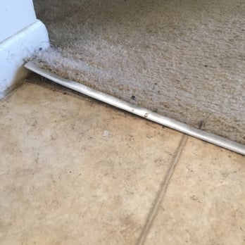 Buena Vista - Lovely. Nails coming up out of the floor. Quality. - Apartments Near Me - Seminole, Florida