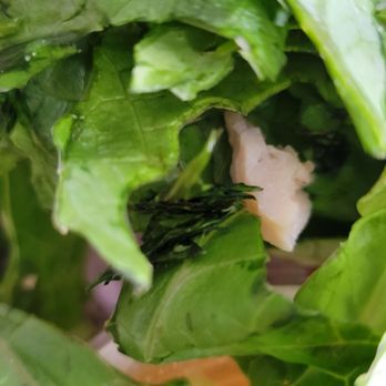 Panera Bread - Unappealing lettuce - Sandwiches Near Me - Las Vegas, Nevada Panera Bread - Unappealing lettuce - Sandwiches Near Me - Las Vegas, Nevada